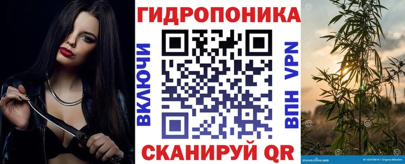 Бошки Шишки Ganja  как найти наркотики  Никольск 